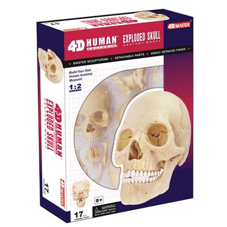 TEDCO TOYS Tedco Toys 26086 4D Human Anatomy Exploded Skull 26086